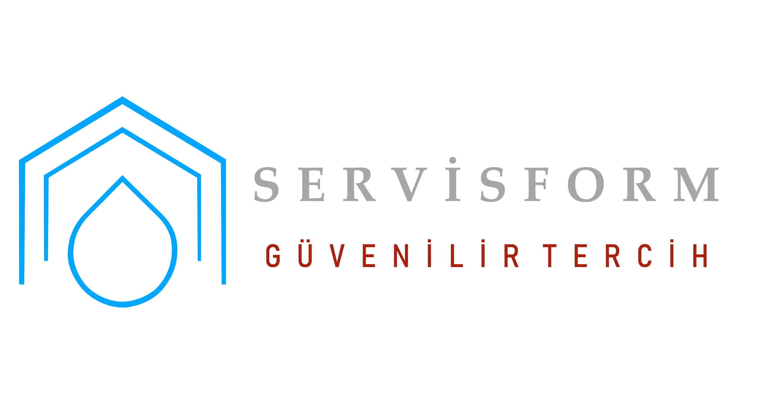 Servis Form